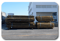 alemplas-comercial